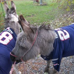 Meet your Posher, Heidi